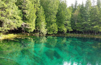 Kitch-iti-Kipi Spring a short drive from Charley’s RV Resort Campground